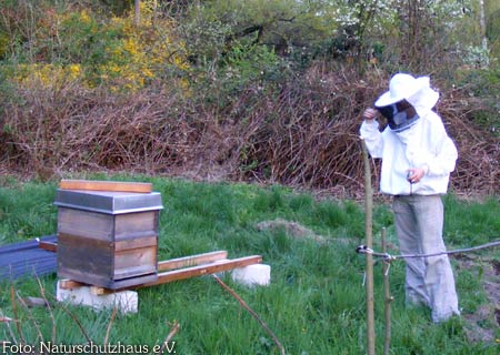 eine Imkerin in Schutzkleidung steht vor dem hölzernen Bienenstock, der auf einer Wiese aufgestellt ist